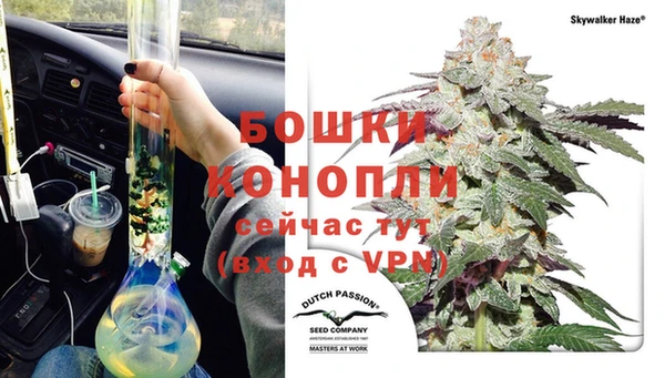 гашик Гусиноозёрск