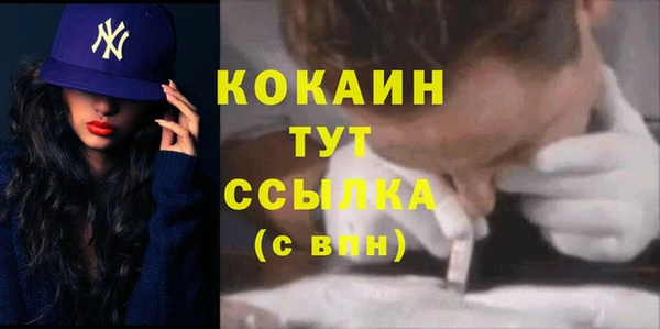 2c-b Гусев