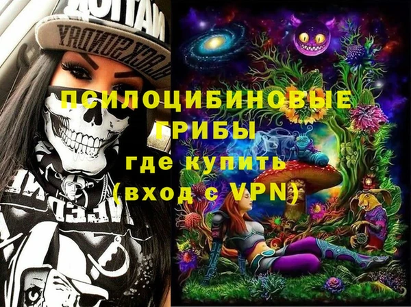гашик Гусиноозёрск
