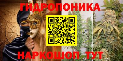 шишки Гусь-Хрустальный