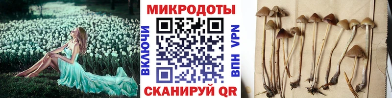 гидра как зайти  закладки  Елизово  Галлюциногенные грибы MAGIC MUSHROOMS 