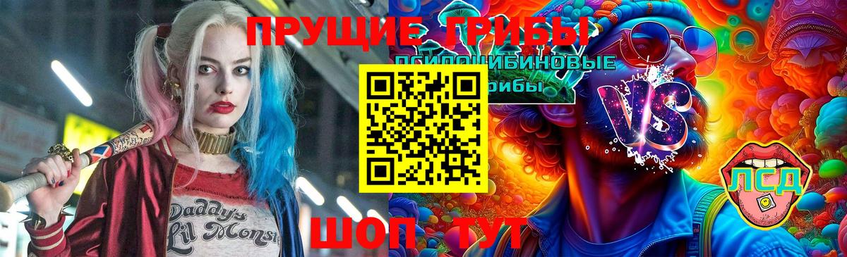 Галлюциногенные грибы Cubensis  наркота  Елизово 