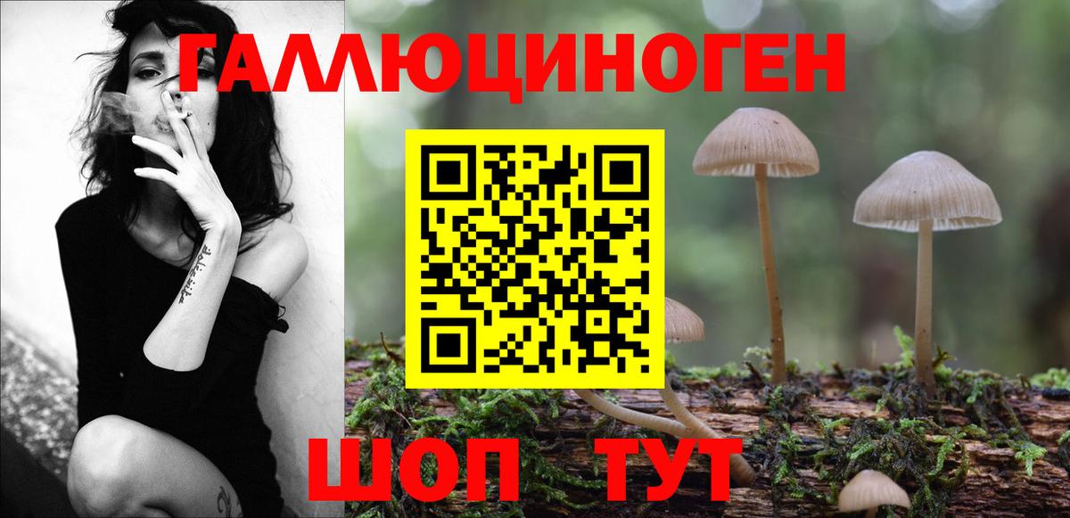 где купить наркоту  Вход с VPN  Елизово  Галлюциногенные грибы GOLDEN TEACHER 